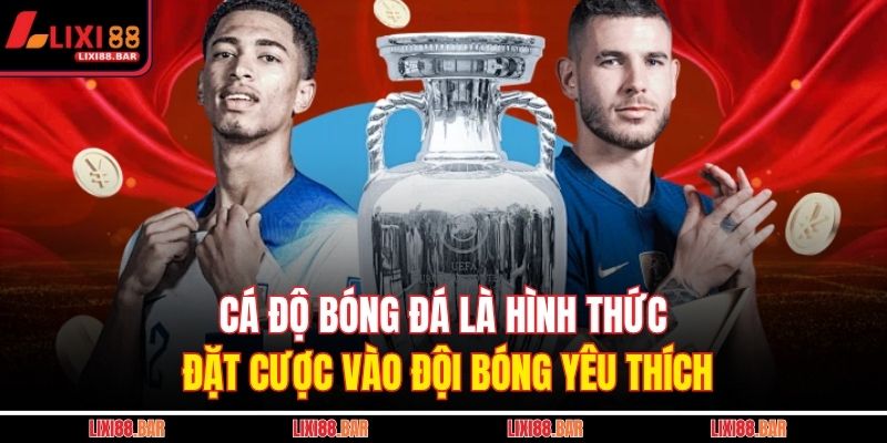 Cá độ bóng đá là hình thức đặt cược vào đội bóng yêu thích